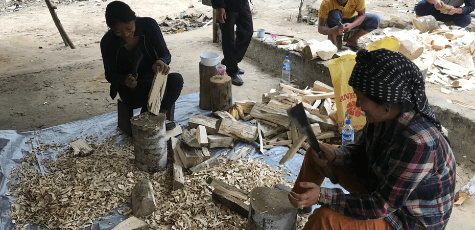 Wild tree sourcing May 2018, Nagaland
