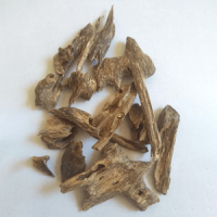 Cultivated Oud Chips Standard Quality - Grade A